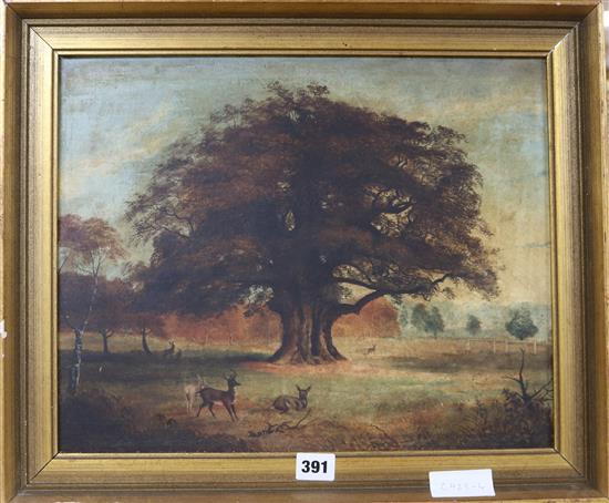 19th century English School, oil on canvas, View of a deer park, 32 x 40cm